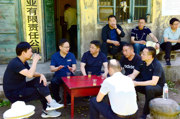 检查组一行深入国有后坪林场松坪工区调研